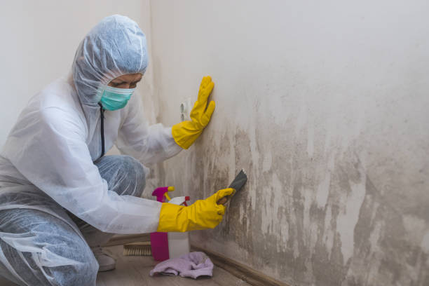 Best Emergency Mold Removal  in Moses Lake North, WA