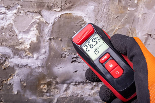 Best Mold Testing  in Moses Lake North, WA