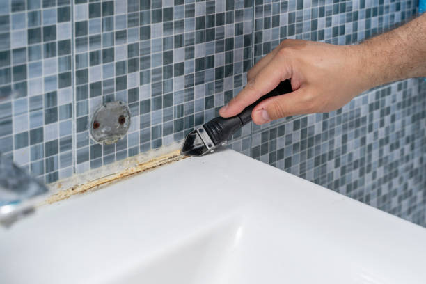 Professional Mold Removal in Moses Lake North, WA